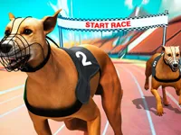 image Crazy Dog Racing Fever