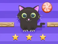image Cut For Cat Challenge